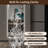 65" X 21" Irregular Shape Led Wall Mirror, 3-Color Dimmable Lighting, 5Mm Copper- Silver Glass, For Entryway And Bedroom Mirror With Shatter-, , Walk-In Closets