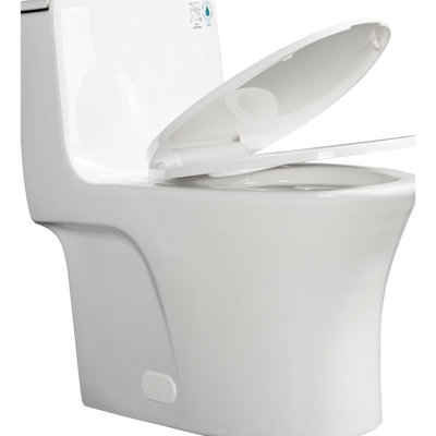 1000 Gram Map Flushing Score 1.1/1.60 One Piece Toilet, Elongated Comfort Height, Soft Closing Seat, Glossy White, Water Floor Placement White Efficient Flushing, Water, Hassle- Setup