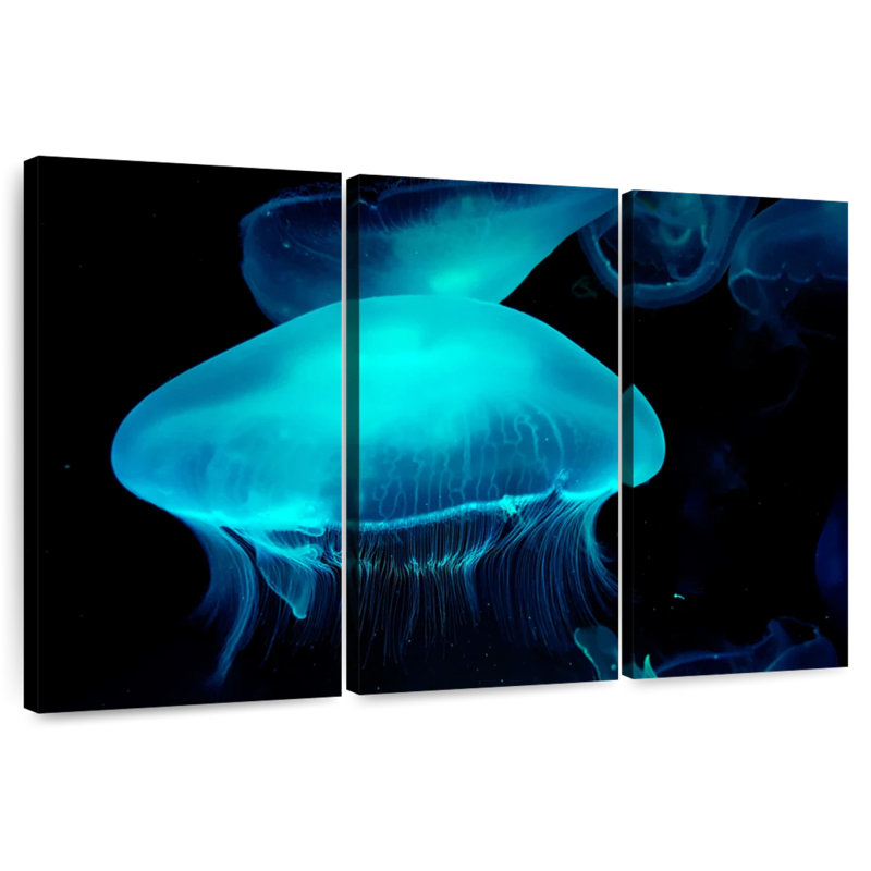 Moon Jellyfish, 20" H x 33" W