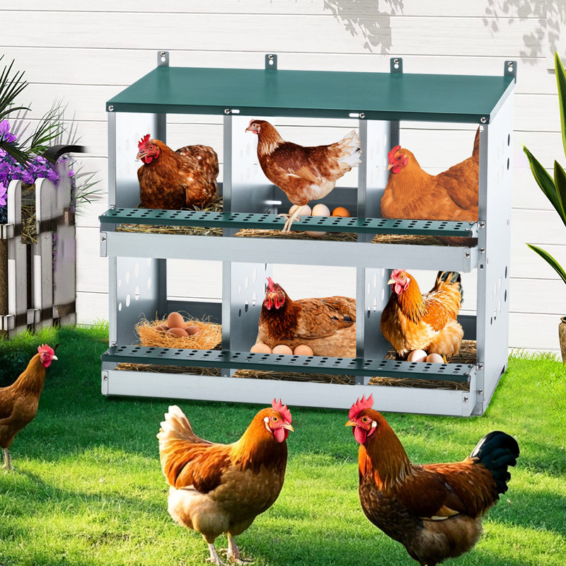 Cage à poulets à 6 compartiments en acier galvanisé, roulette à œufs automatique, espace de nidification confortable, disposition bien conçue, installation rapide, œufs en acier de 33,36 po de profondeur,