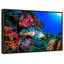 "Tortue, océan, art mural"-540929487