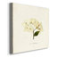 Cornales Hydrangea II - Wrapped Canvas Print-490019352