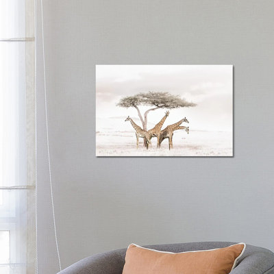 White Giraffes by Klaus Tiedge - Print on Canvas