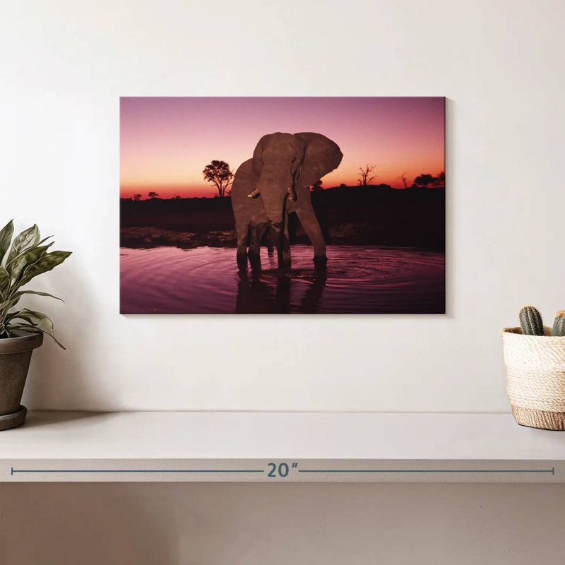 Elephant Sunrise Bathing, 8" H x 12" W