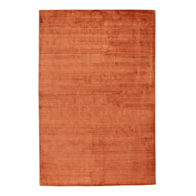 Area Rug in Rust Brown