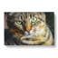 Portrait Of A Cat Vol.6 - Wrapped Canvas Print-61838615