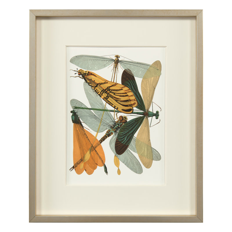 Insect Assemblage II Print
