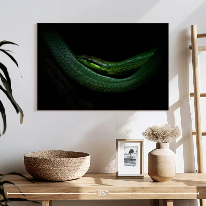 Brampt Mamba, 16" H x 24" W