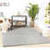 Shag Area Rug