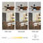 Ventilateur de plafond 52 pouces