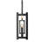 Aneve 5 - Light Matte Black Pendant