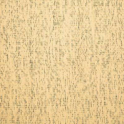 Dominigue Indoor Rug
