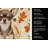 Chocolate Chihuahua Heirloom Fall Kitchen Towel-1218231574