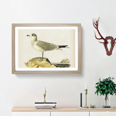 Common Gull by Von Wright - Picture Frame Painting Print
