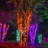 2'' String Lights-1005769582