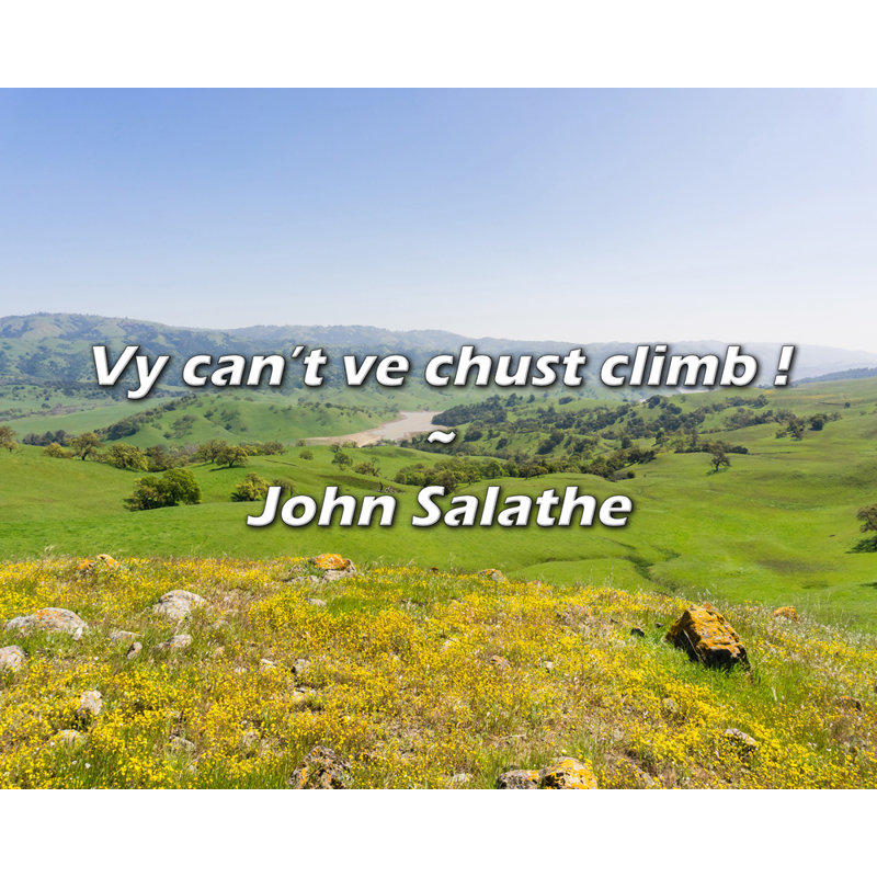 Citation artistique «Vy canve chust grimper!» Toile tendue par John Salathe, H 17 po x l 24 po