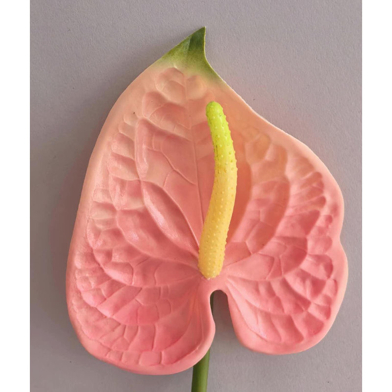ANTHURIUM 20'', Blush