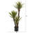 Arbre de yucca artificiel 48" en pot de fleurs
