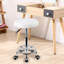 Shevon Sponge Office Chair