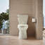 Betello 1.28 GPF Water Efficient Elongated Two-Piece toilet (Seat Not Included)-41225408