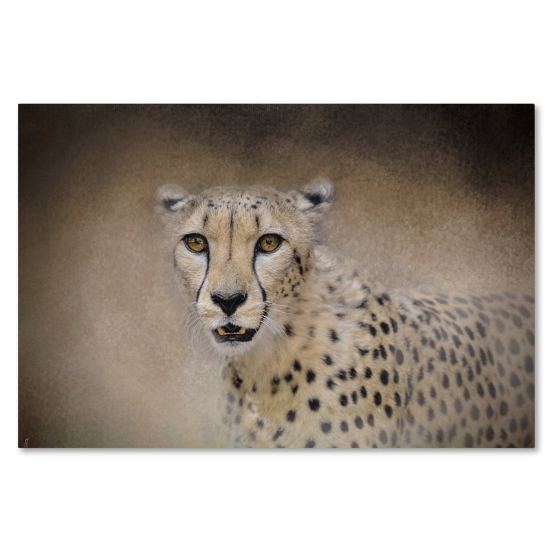 «The Cheetah», impression sur toile tendue Vidur, H 30 po x l 47 po