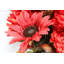 Arrangement de fleurs mixtes-17956175
