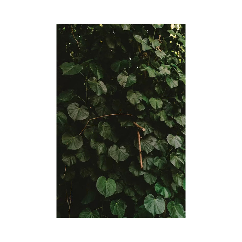Tropical Hawaii III by Bethany Young - Print on Canvas, 66.04cm H x 45.72cm W x 1.91cm D, Wrapped Canvas
