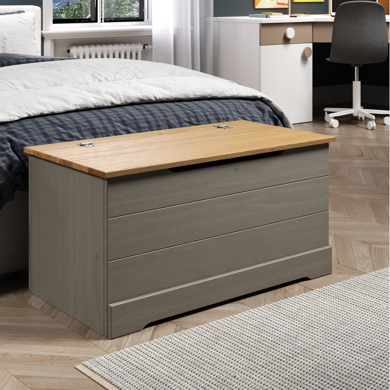 Grey Storage Trunk, Corona Classic Ottoman Chest for Bedrooms, Hallways