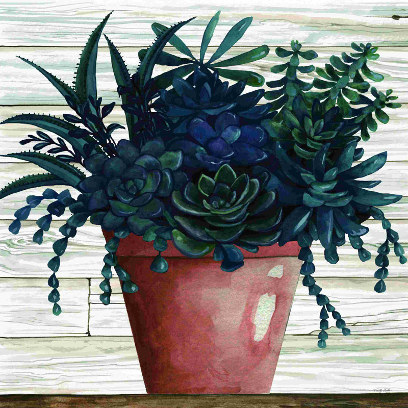 Succulentes remarquables III, H 12 po x l 12 po