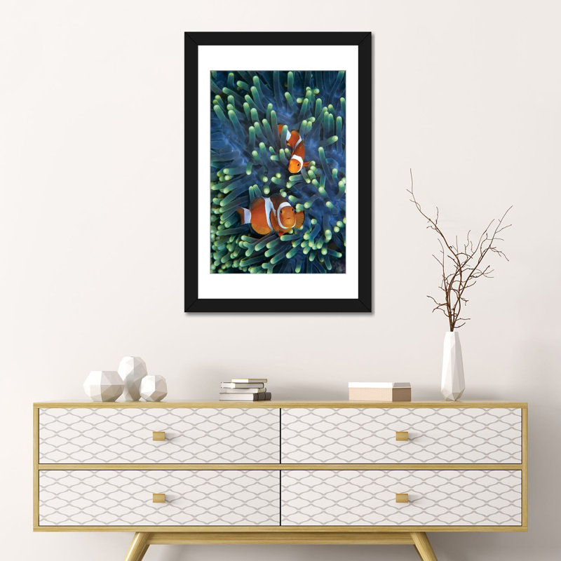 « matin anemonefish pair », impression sur toile, H 24 po x l 16 po x P 1 po, Papier d'art encadré noir, Blanc