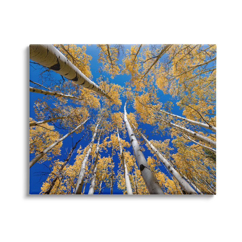 Art de la giclée sur bois de feuillage imminent par Andy Crawford, H 16 po x l 20 po x P 1,5 po