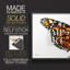 Wings I - Reproduction encadrée - Restickable-1628827236-1628827237