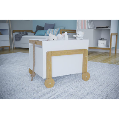 Camdyn Toy Box
