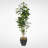 74'' Faux Fiddle Leaf Fig Tree in Metal Planter
