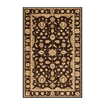 Machine Washable Overdyed Brown Area Rug