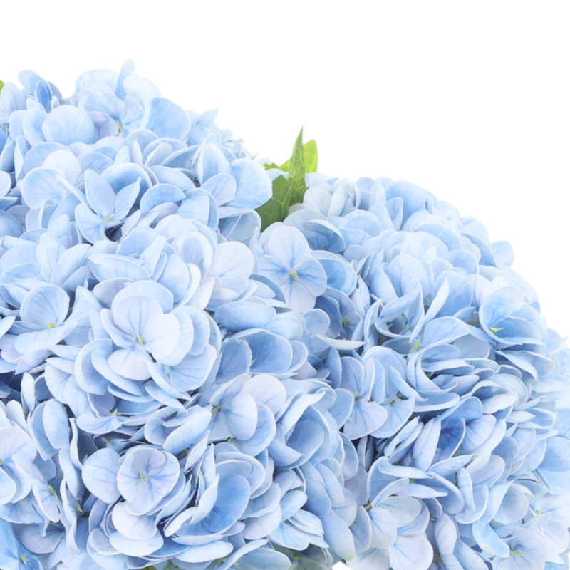 Hydrangeas Arranged in Decorative Ceramic Pot, Blue