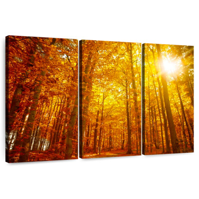 Alvord Dramatic Autumn Sunlight