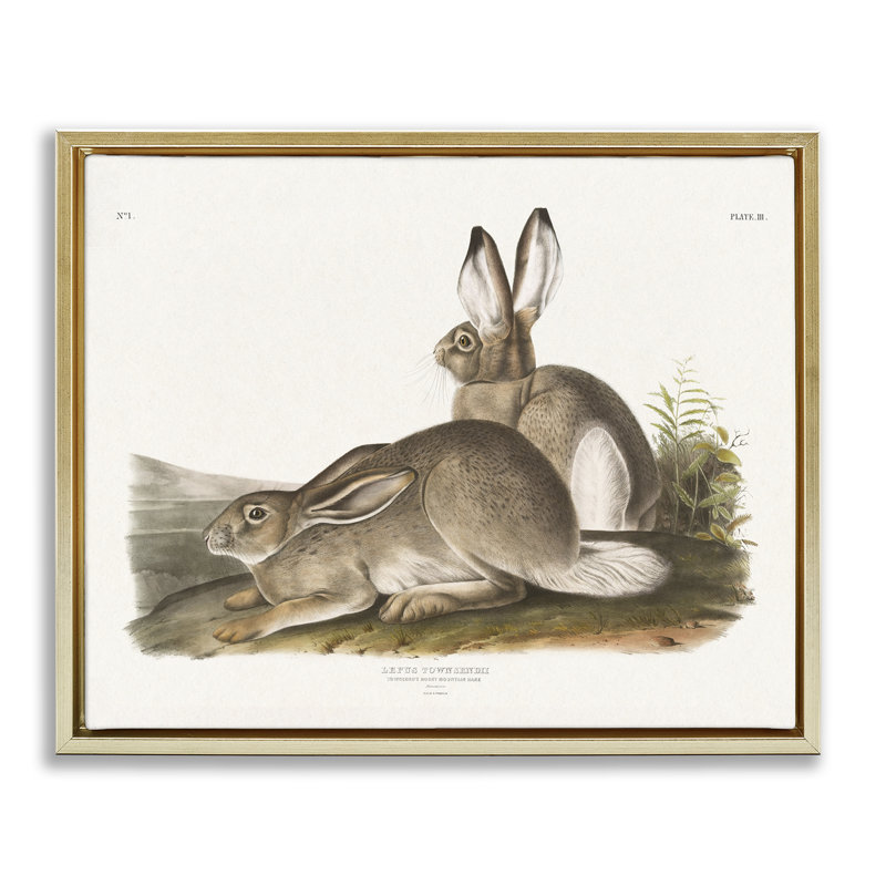 Art mural sur toile flottant Traditional Cottage Hare par Wild Apple Portfolio, Cadre flottant métallique doré