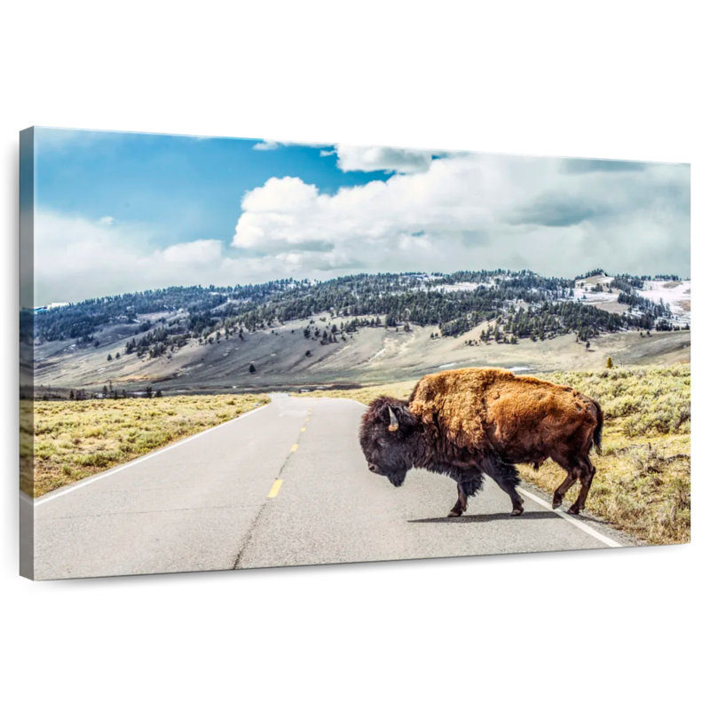 American Bison Crossing, 34" H x 51" W