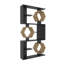 Lile 171cm H x 90cm W Bookcase-1583676992