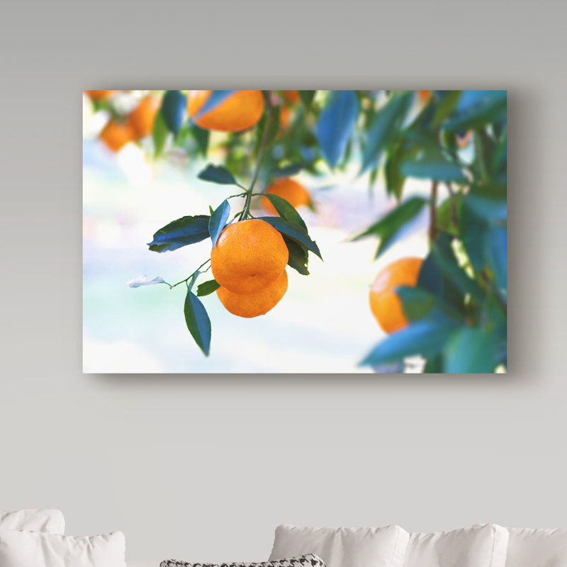 «Oranges Hanging» de Yareny, reproduction de photo sur toile tendue, H 12 po x l 19 po x P 2 po