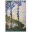 Claude Monet - Wrapped Canvas Painting-959894035