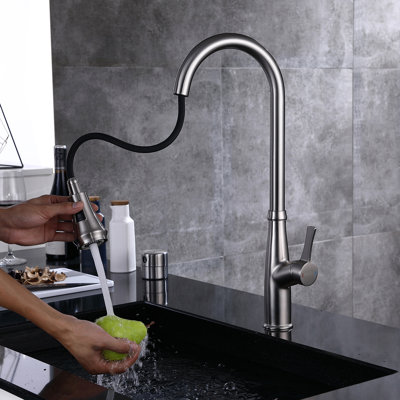 Aqua Gallery Pull Down Kitchen Faucet