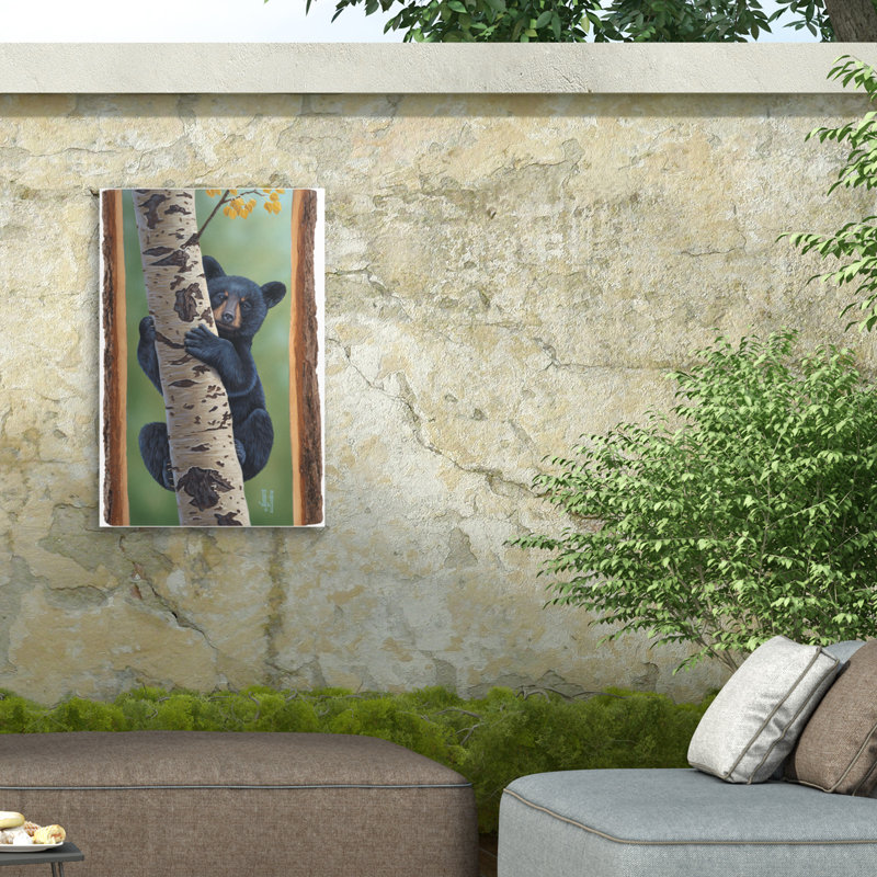 Jeff Hoff, toile d'ours noir Aspen, H 12 po x l 19 po
