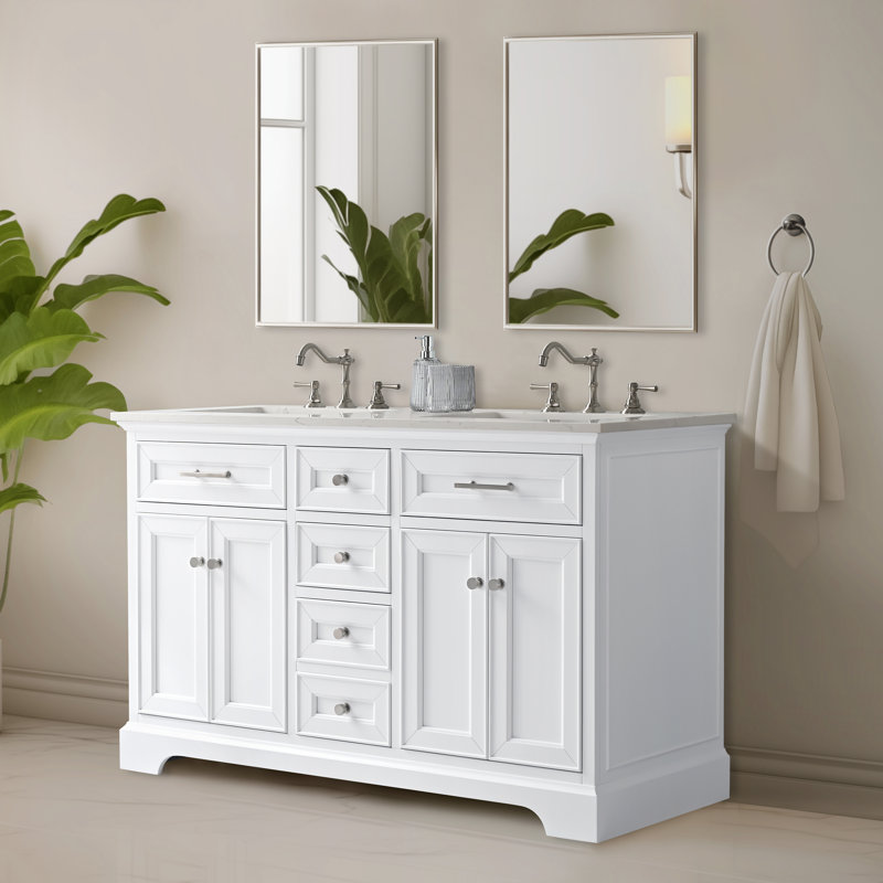 Haisley 54" W Double Vanity