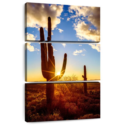 Parc national Nicci Saguaro Est V