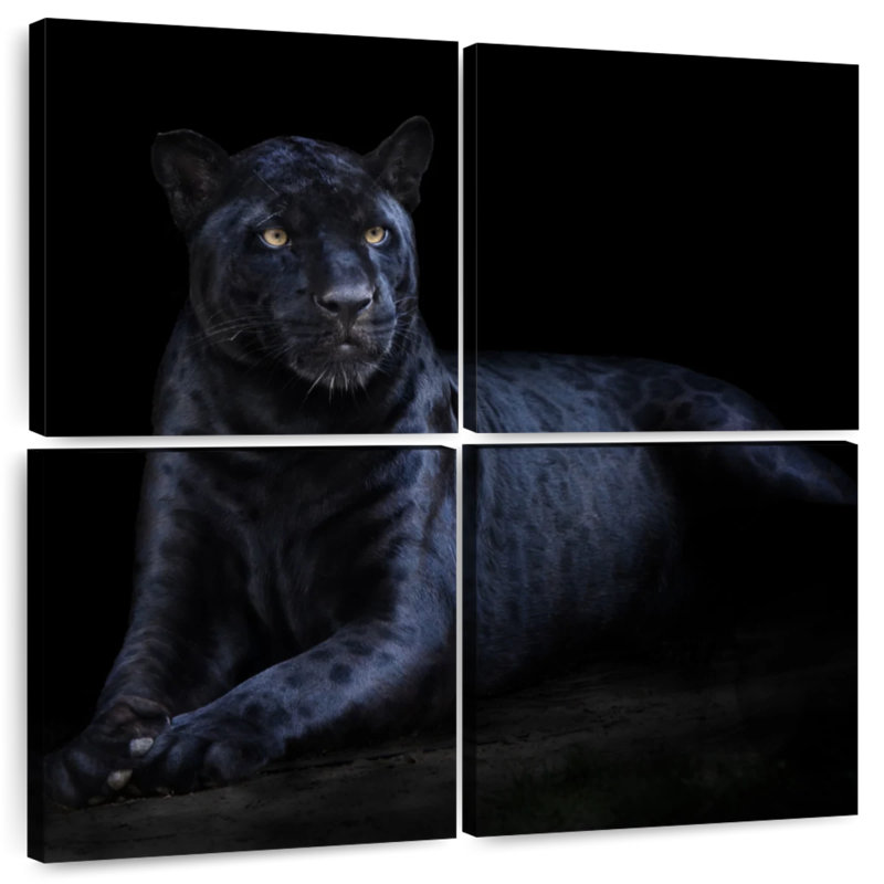 Brampt Black Jaguar, 18" H x 18" W