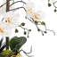 Arrangement floral orchidée phalaenopsis