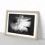 Pretty Flower - Picture Frame Graphic Art Print-56861909-56861910