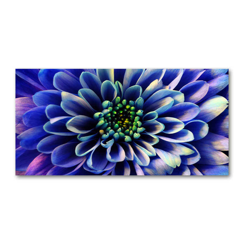 Aster - Wrapped Canvas Print